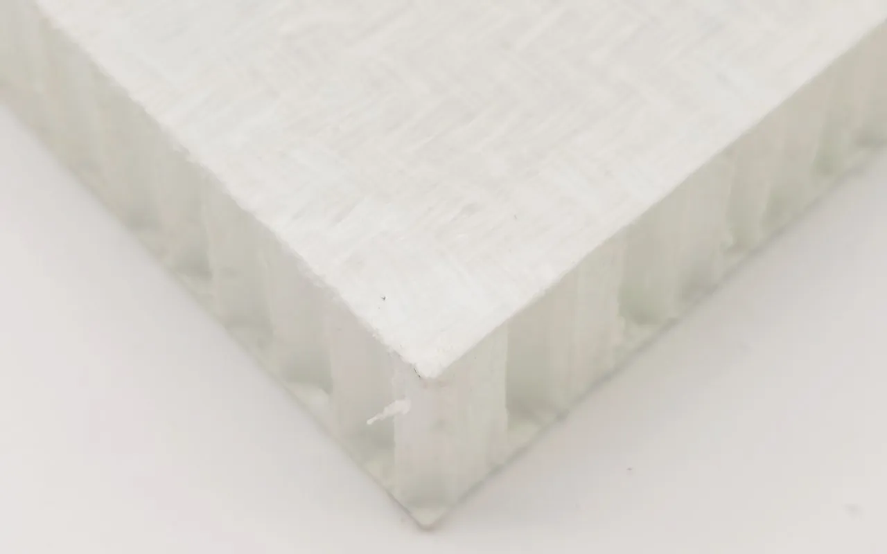 Thermoplastic PP honeycomb panel Thermoplastic PP honeycomb panel